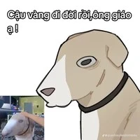 Cậu Vàng