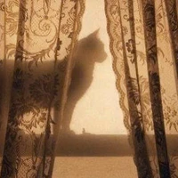 𝒄𝒉𝒆𝒓𝒓𝒊𝒆𝒆‧₊ ᵎᵎ 🍒 ⋅ ˚✮