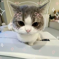 cả lớp 