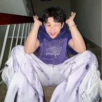 Lê Hồ Phước Thịnh