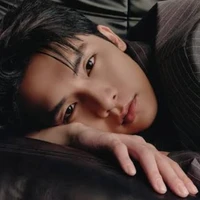 Ngô Nguyên Bình-Vương Bình