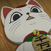 Turbo bà bà
