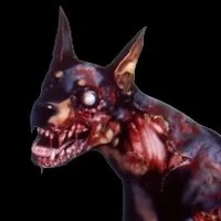 Cerberus