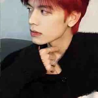 Anh trai nữ chính