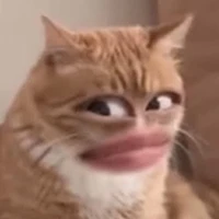 Tg đoẹp troai lai loáng