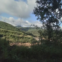 all ( trừ ai thì trừ )