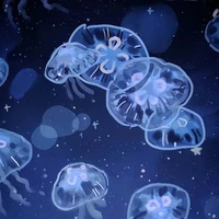 cả hai hệ thống