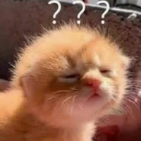 All (trừ ai trừ)