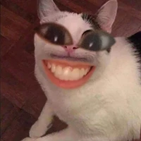 Con tác giả đây nè