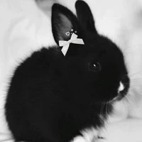 Hệ thống 102{Ngọc Giào}