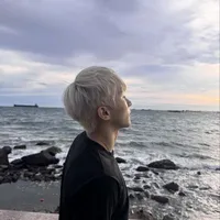 Le Hong Son - Sơn K