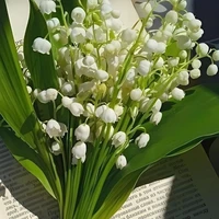 T/g siêu mê dương hùng