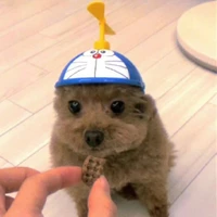 bạn hc & ng qua đường