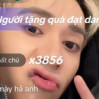 t/g lừi