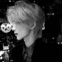 Nguyễn Việt Hưng|Chồng Sơn|