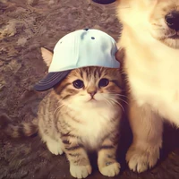Captain Boy