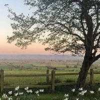 cần all (trừ all)nha