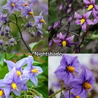 ∫❦Kuro_Keelan✮∫