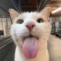 Tất cả nhân vật nữ