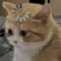 Con tác giả não cá vàng