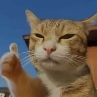 Đây có thể là hội bạn của Tác