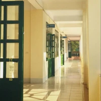 HoangDaoismyschool