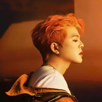 Nguyễn Quang Anh/anh