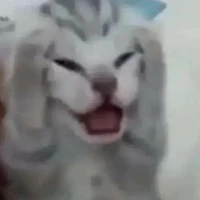 Chú Linh ( xấu số)