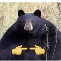 Nhân vật chưa lộ diện