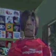 mân đàn* fan mu *