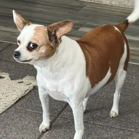 xì xì xin chò🥵🐍