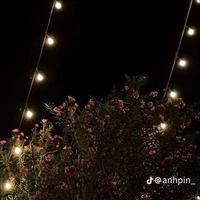 chủ tus