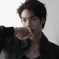 Kim Seok Jin (hắn)