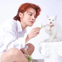 Phạm Đình Thái Ngân |¹⁹⁹³|