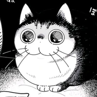 Ruii - hệ thống 001