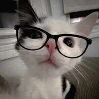 Hệ thống 010/ kiều kiều