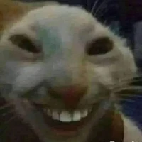 cô giáo