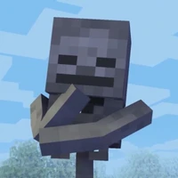 Skeleton - S