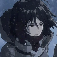 Mikasa Ackerman 