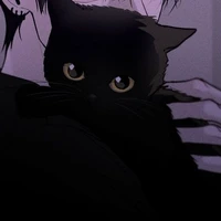 Kiriya Sali | Cat