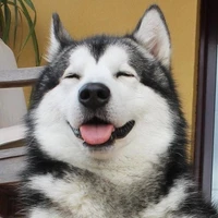Lu