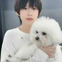 trần dịch hằng