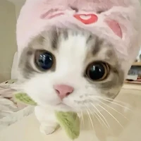 _hệ thống cưng của t/g_