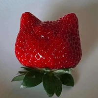 nhân vật quần chúng