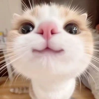 Hệ thống (◍•ᴗ•◍)❤