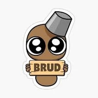 Brud