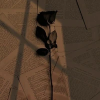 Hoa Hồng lạc trong gió.