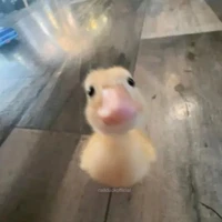 tg cute phô mai que