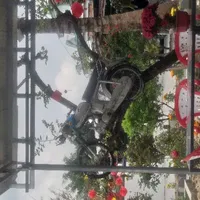 tác giả hận toán