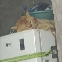 người off nhiều nhất